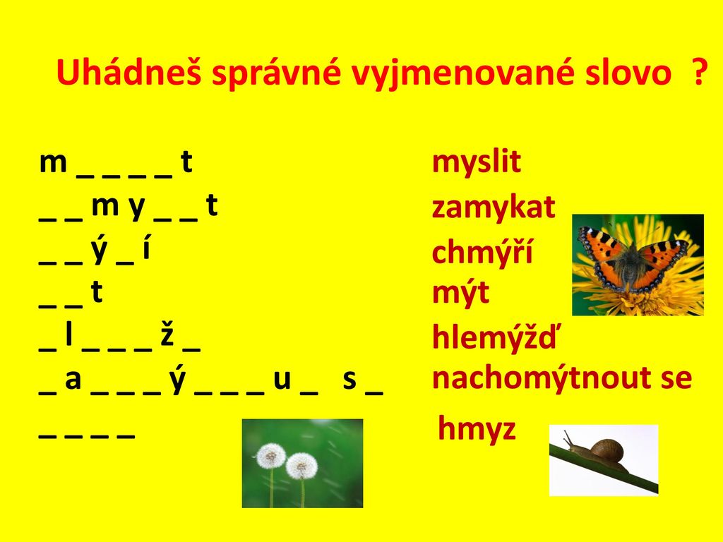 Metodický list Vyjmenovaná slova po M ppt stáhnout